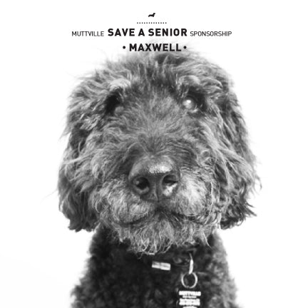 June Save a Senior Sponsorship: Meet Maxwell