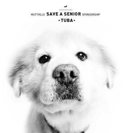 November Save a Senior Sponsorship: Meet Tuba